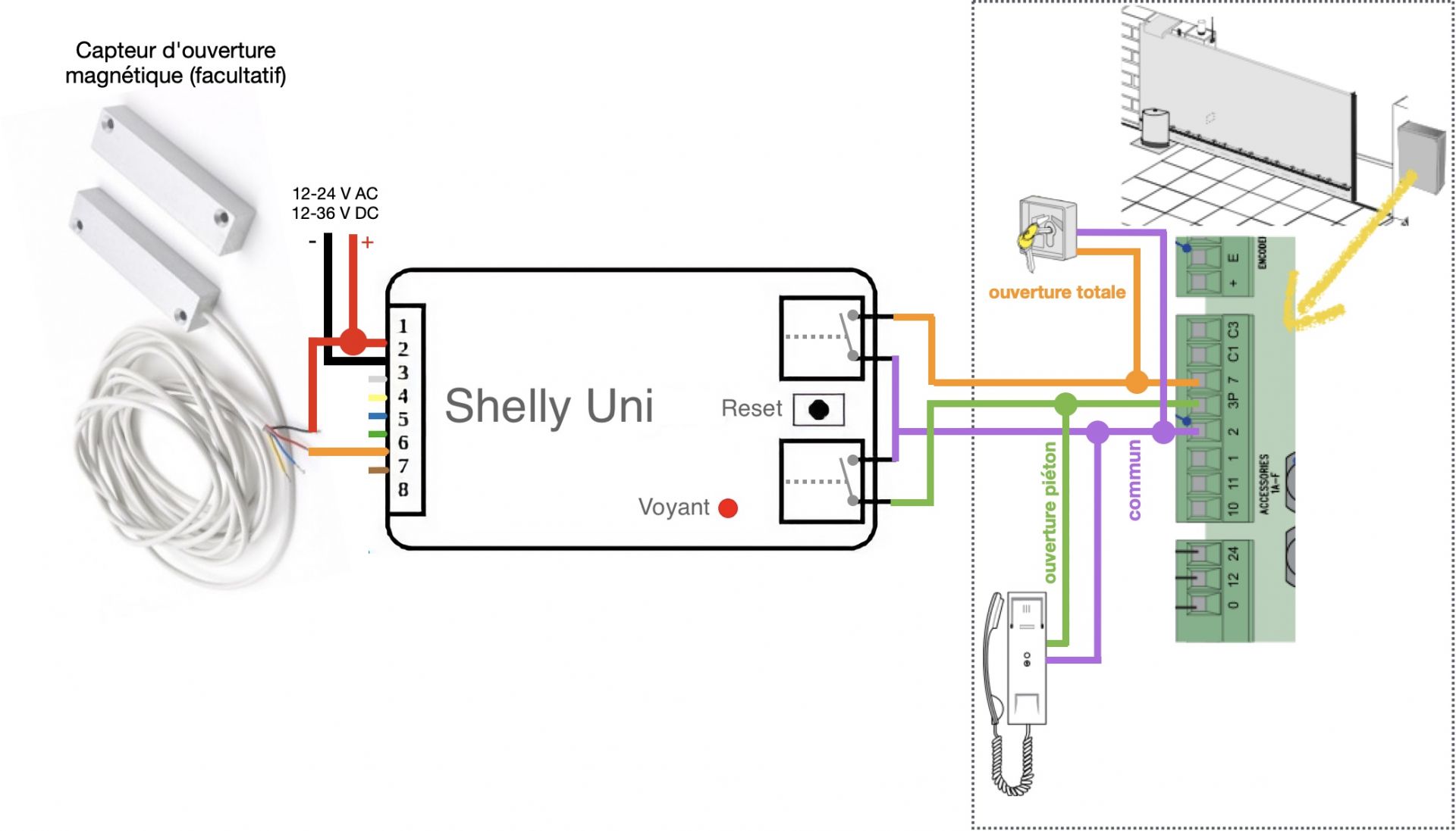 Câblage des sorties libres de potentielm (à "contact sec") du Smart Implant WiFi Shelly Uni - Exemple avec un portail ou une porte de garage
